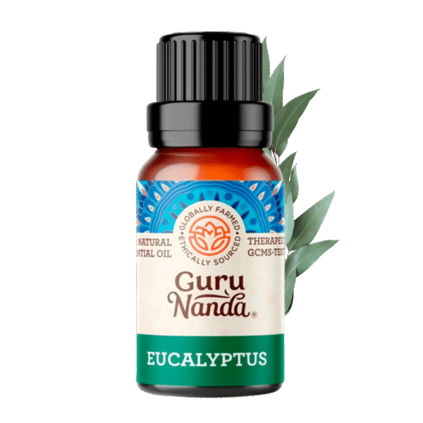 GuruNanda 100% Pure & Natural Eucalyptus Essential Oil for Aromatherapy & Diffuser - 15ml