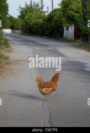 Een Kijkje naar het Bekende Spelletje Chicken Road Online in Nederland - overview